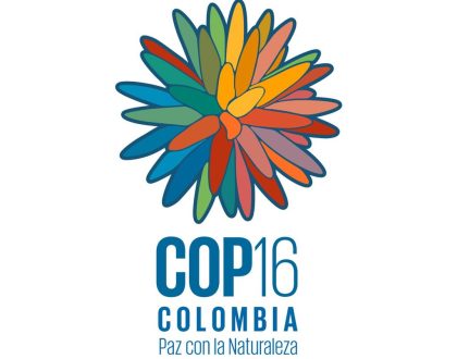 COP 16