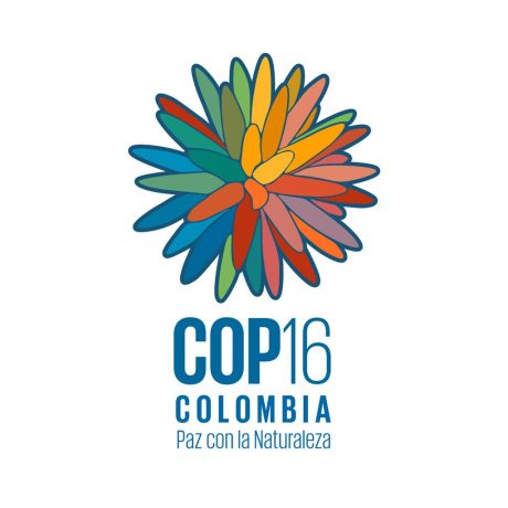 COP 16