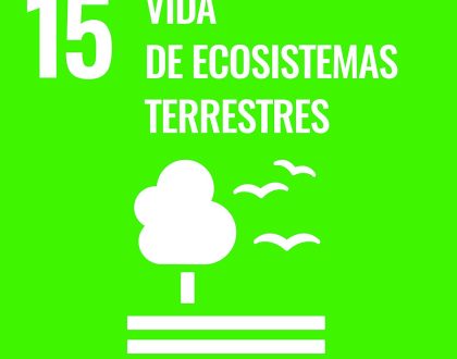 AGENDA 2030 ESCOLAR: ODS 15, VIDA DE ECOSISTEMAS TERRESTRES