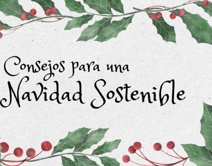 NAVIDADES SOSTENIBLES