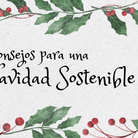 NAVIDADES SOSTENIBLES