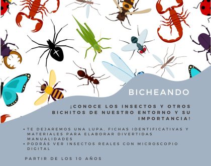 NUEVA ACTIVIDAD: BICHEANDO